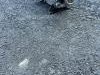 Audi A6 A7 A8 Puska Volana - 8W0 927 287 C