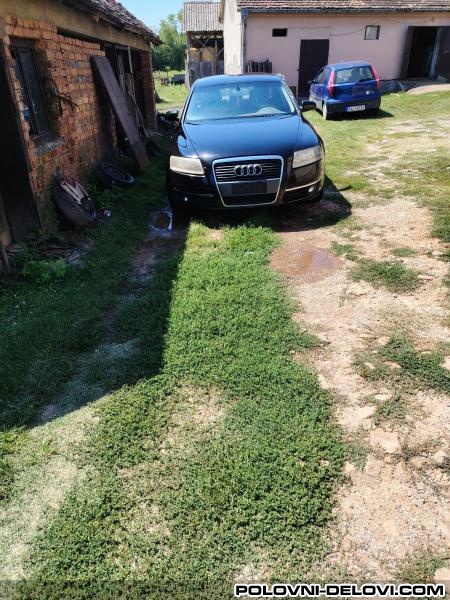 Audi  A6 C6 Branik Karoserija