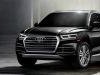 Audi  Q5 MASKA.GRIL  80A