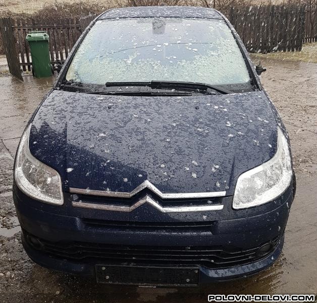 Citroen  C4  Amortizeri I Opruge