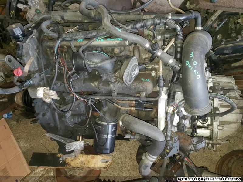 Fiat  Ducato HDI Motor I Delovi Motora