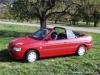 Ford  Escort Polovni Delovi  Kompletan Auto U Delovima