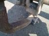 Ford  Focus 18tdi Ostala Oprema