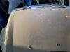 Ford  Focus  Prednja Hauba