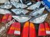 Ford  Focus  Svetla I Signalizacija