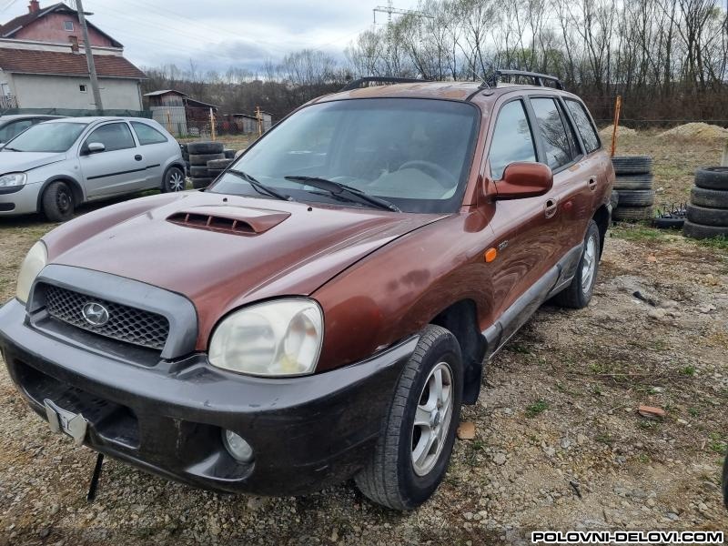 Hyundai  Santa Fe 2.0 C R D I  Kompletan Auto U Delovima
