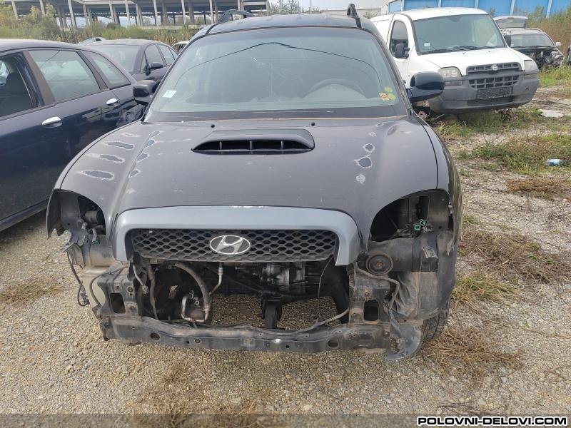 Hyundai  Santa Fe 2.0 Crdi Kompletan Auto U Delovima
