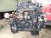 Iveco  Daily  Motor I Delovi Motora
