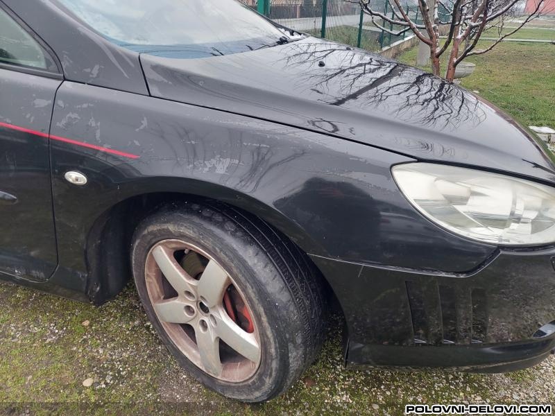 Krila Za Peugeot  407 Coupe  
