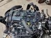 MOTOR I Delovi Motora Ford  Ka  1.2 Benzinac