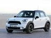 Mini  Countryman  Kompletan Auto U Delovima