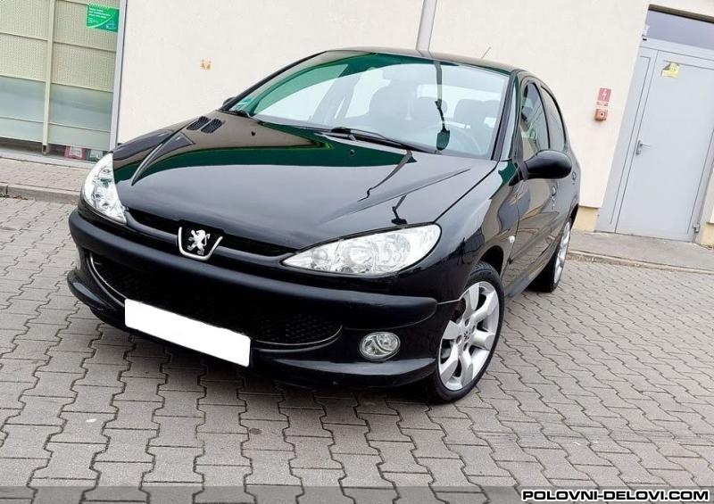 Peugeot  206 1.1 1.4 1.6 Kompletan Auto U Delovima