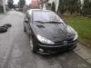 Peugeot  206 1.1 1.4 1.6 Kompletan Auto U Delovima