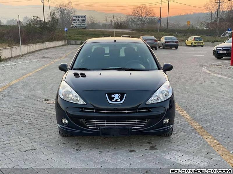 Peugeot  206 1.1 B.1.4 B Kompletan Auto U Delovima