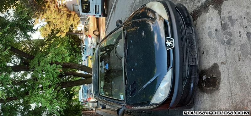 Peugeot  206 1.4 1.6 Kompletan Auto U Delovima