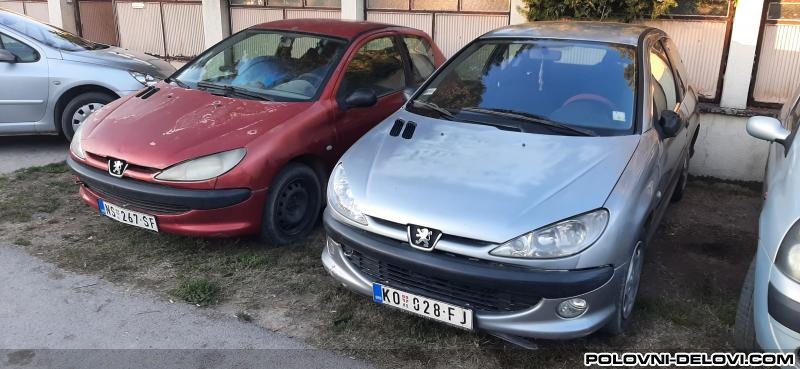 Peugeot  206 1.4 1.6 Kompletan Auto U Delovima