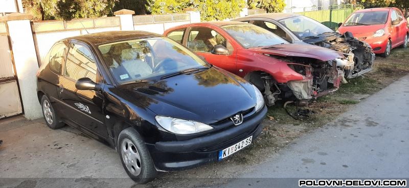 Peugeot  206 1.4 1.6 Kompletan Auto U Delovima