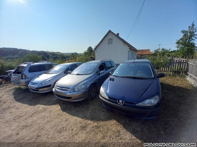 Peugeot  206 1.4 2.0 Hdi 1.1  1.4 Kompletan Auto U Delovima