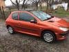 Peugeot  206 1.4 Amortizeri I Opruge