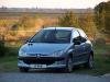 Peugeot  206 1.4 HDI Kompletan Auto U Delovima