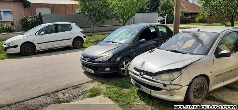 Peugeot  206 1.4 Hdi 1.4 B 1.6b Kompletan Auto U Delovima
