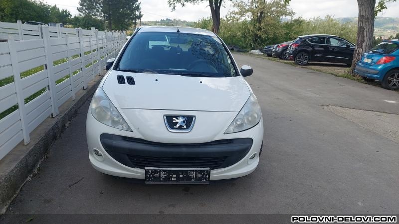 Peugeot  206 1.4hdi 206  Kompletan Auto U Delovima