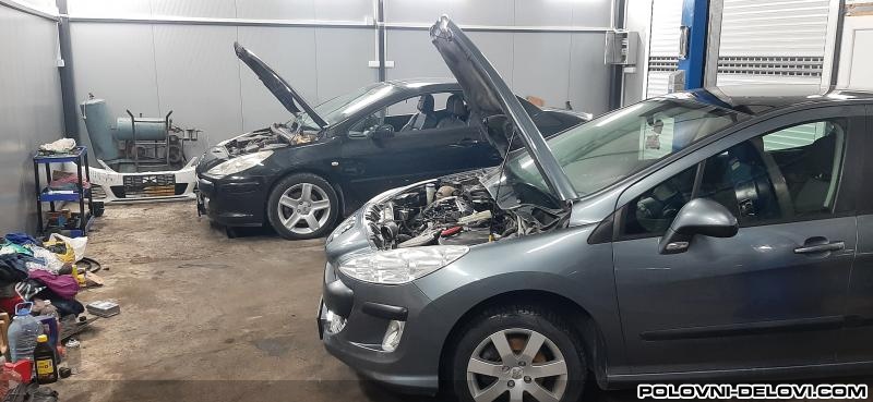 Peugeot  206 1.6 Hdi Kompletan Auto U Delovima