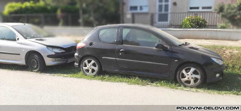 Peugeot  206 1.6  Kompletan Auto U Delovima