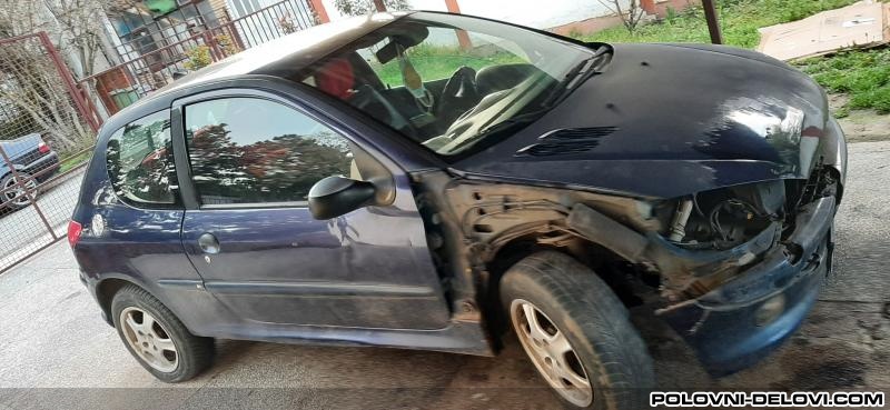 Peugeot  206 1.6  Kompletan Auto U Delovima