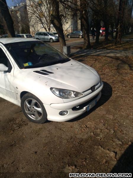 Peugeot  206 1.9 Kompletan Auto U Delovima