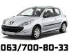 Peugeot  206  Amortizeri I Opruge