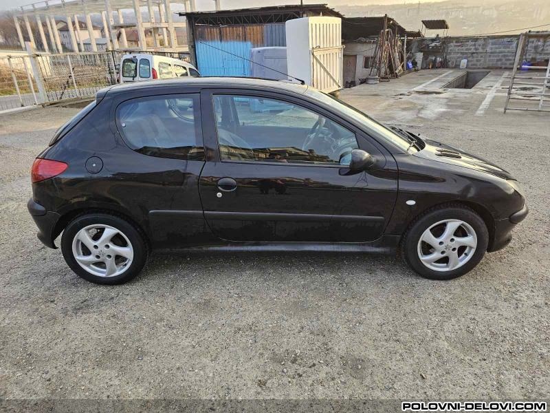 Peugeot  206 BENZINAC - DIZEL Izduvni Sistem