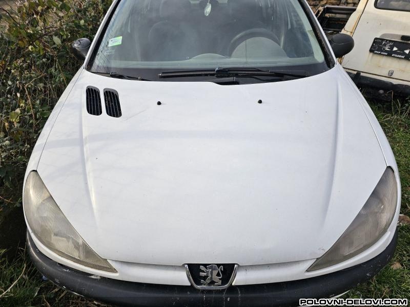 Peugeot  206 BENZINAC - DIZEL Svetla I Signalizacija