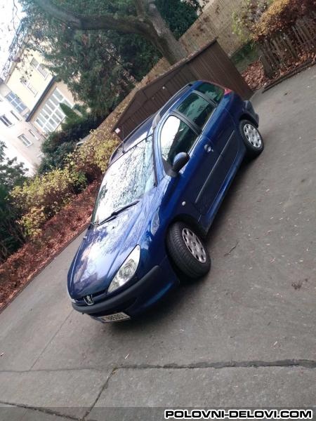 Peugeot  206  Enterijer