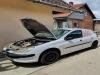 Peugeot  206  Kocioni Sistem