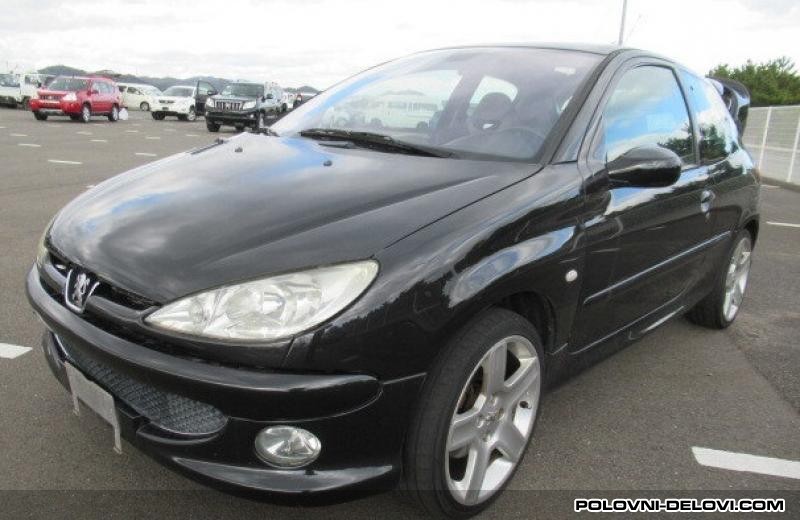 Peugeot  206  Kompletan Auto U Delovima