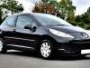 Peugeot  206 PLUS Kompletan Auto U Delovima