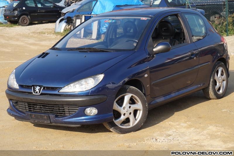 Peugeot  206 Teget Kompletan Auto U Delovima