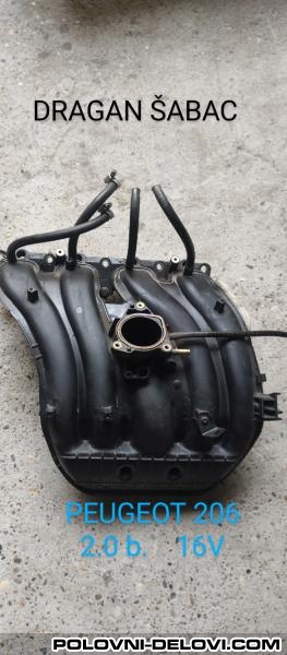 Peugeot  206 Usisna Grana  Motor I Delovi Motora