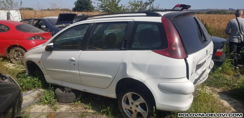 Peugeot  206 Zeleznik Kompletan Auto U Delovima