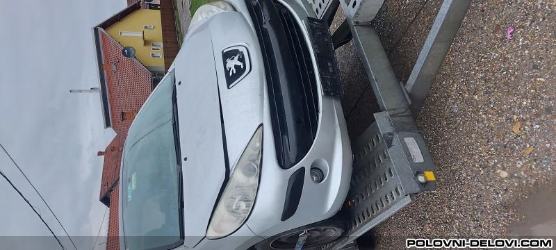 Peugeot  207 1.4 16v.  Kompletan Auto U Delovima