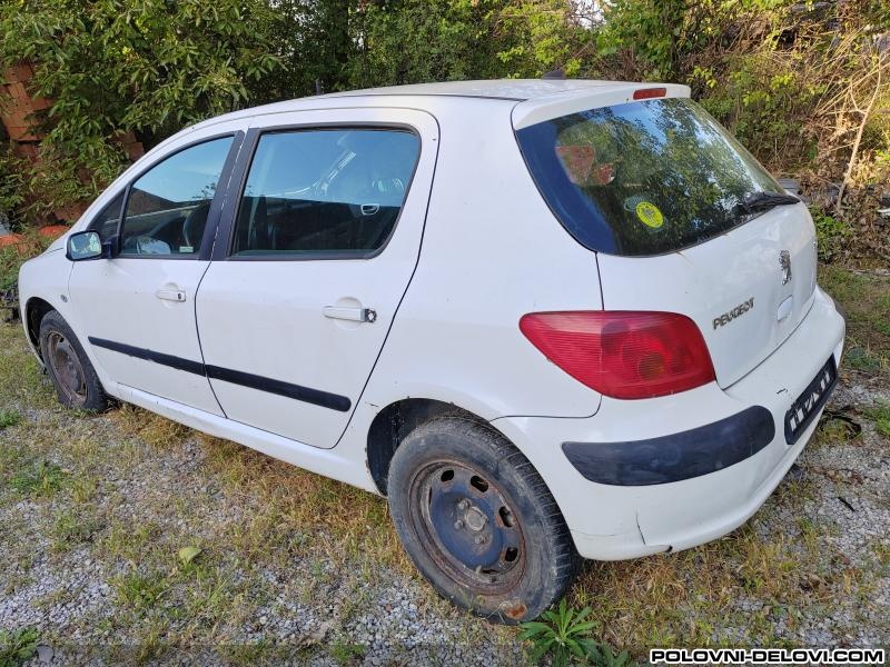 Peugeot  207 1.6 16v Kompletan Auto U Delovima