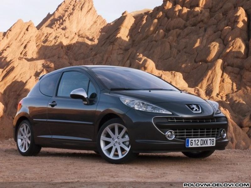 Peugeot  207 1.6hdi Trap I Vesanje