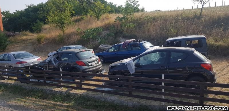 Peugeot  207 HDi Kompletan Auto U Delovima
