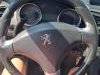 Peugeot  3008  Kompletan Auto U Delovima