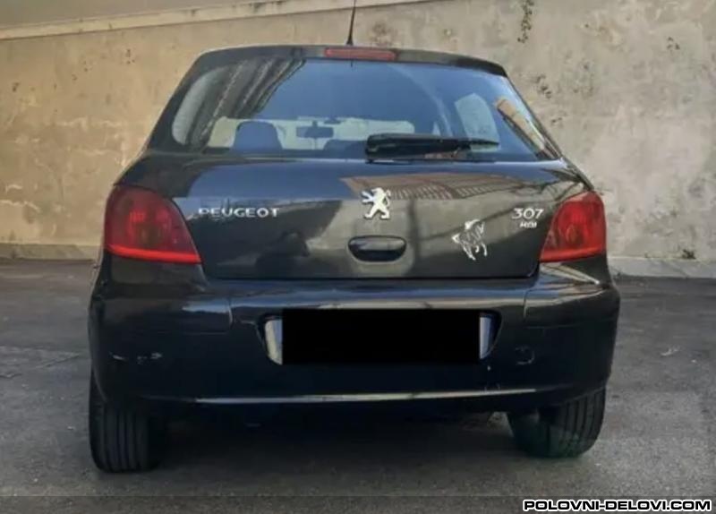Peugeot  307 1.4 Hdi Karoserija