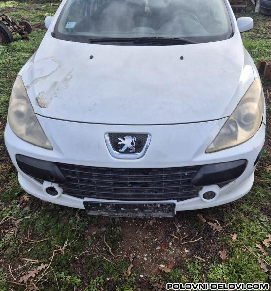 Peugeot  307 1.4  Kompletan Auto U Delovima