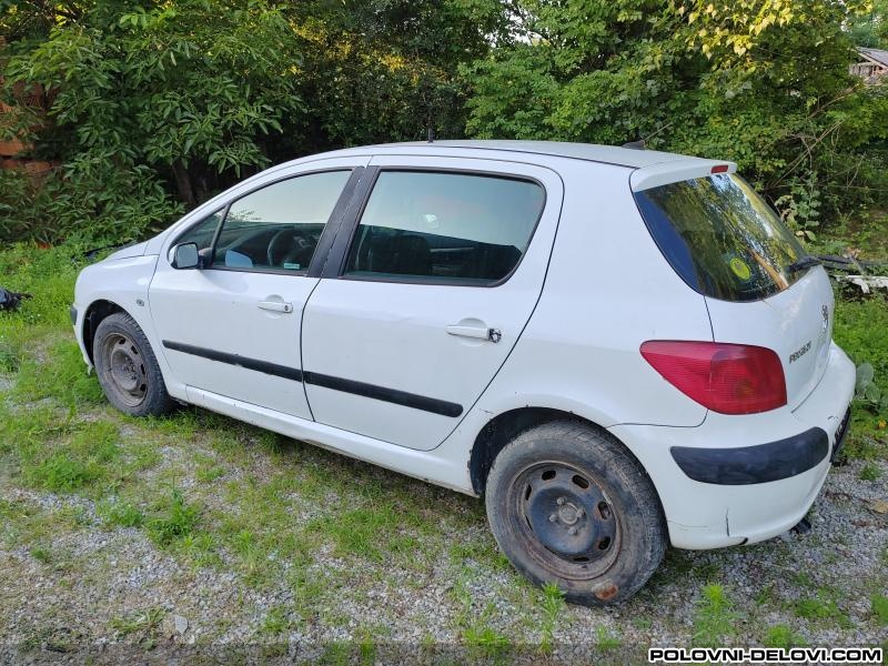 Peugeot  307 1.6 16v Kompletan Auto U Delovima
