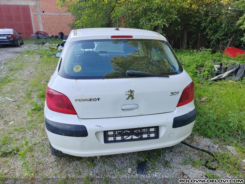 Peugeot  307 1.6 16v Kompletan Auto U Delovima