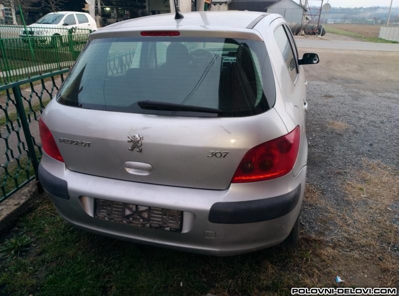 Peugeot  307 1.6 16v Kompletan Auto U Delovima